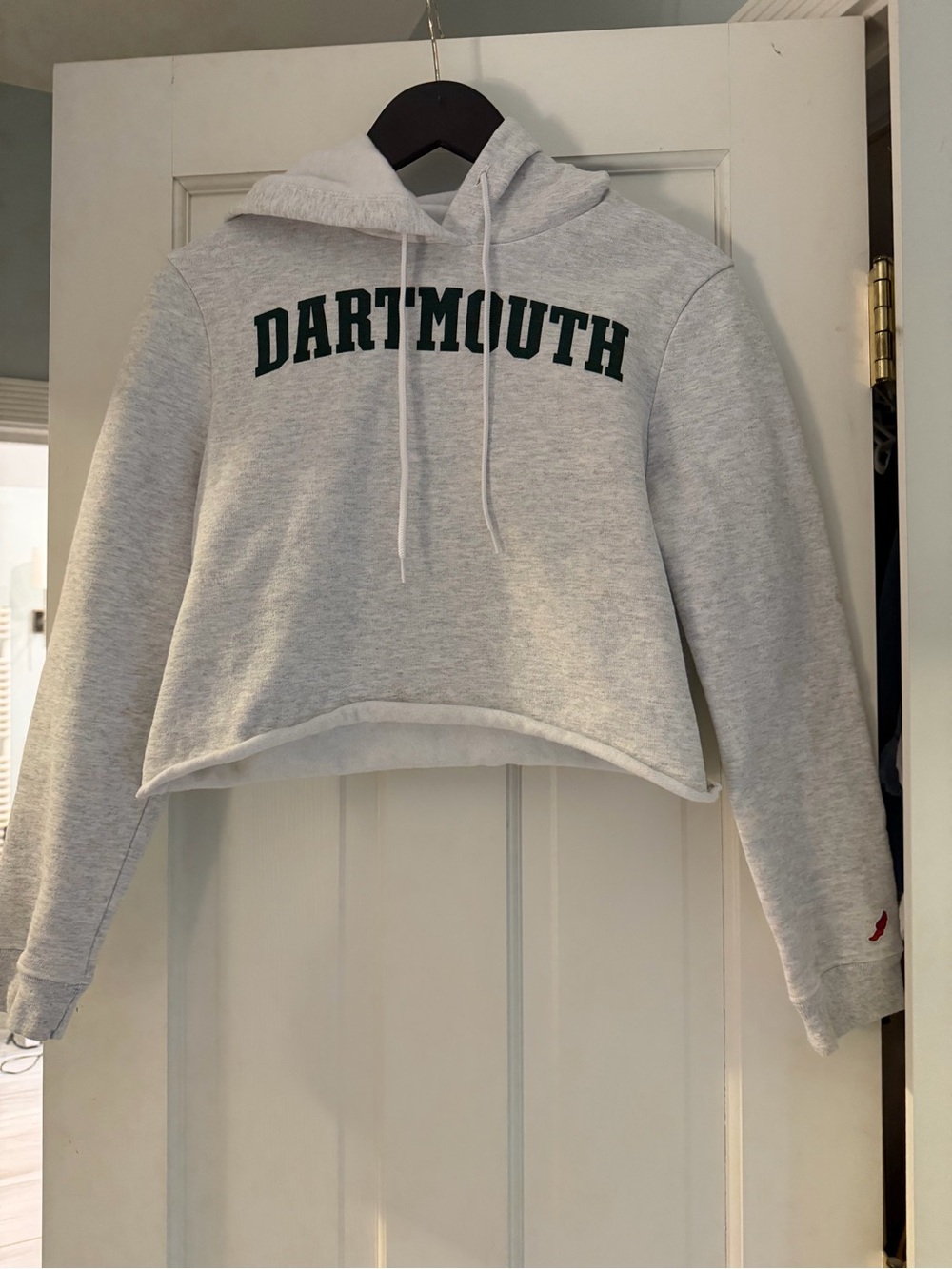 Dartmouth College Women’s Cropped Hoodie Heather Gray